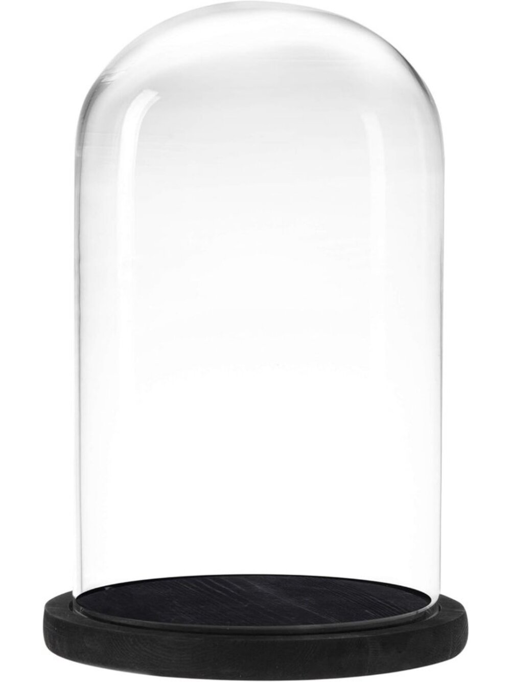 Elegant Glass Cloche with Black Wood Base - 10 Inch Decorative Display Dome